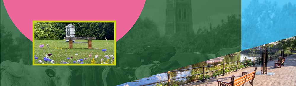 Graphic Photo montage of a bench in a public garden and benches by the River Severn
