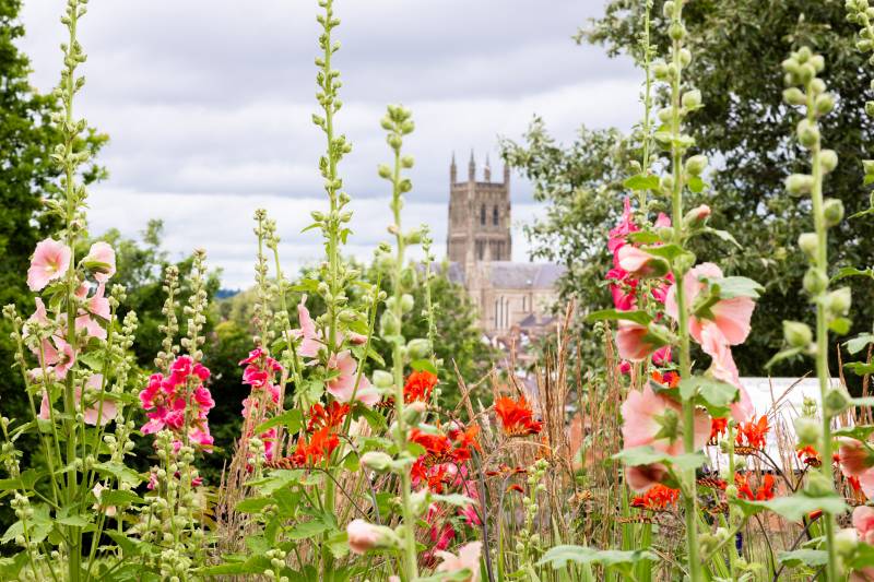 Worcester Cathedral through the flowers at Gheluvelt Park