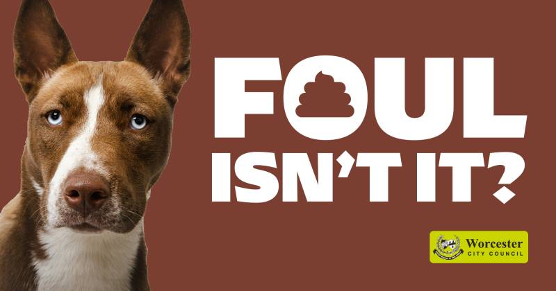 An image of a dog with the message 'four isn't it?'
