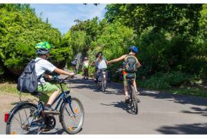 A group of children cycling to school