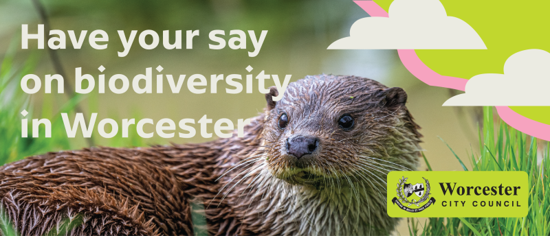 An otter with the wording 'have your say on biodiversity in Worcester'