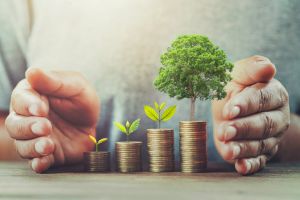 A man is holding his hands around a pile of coins, out of which are growing plants and trees