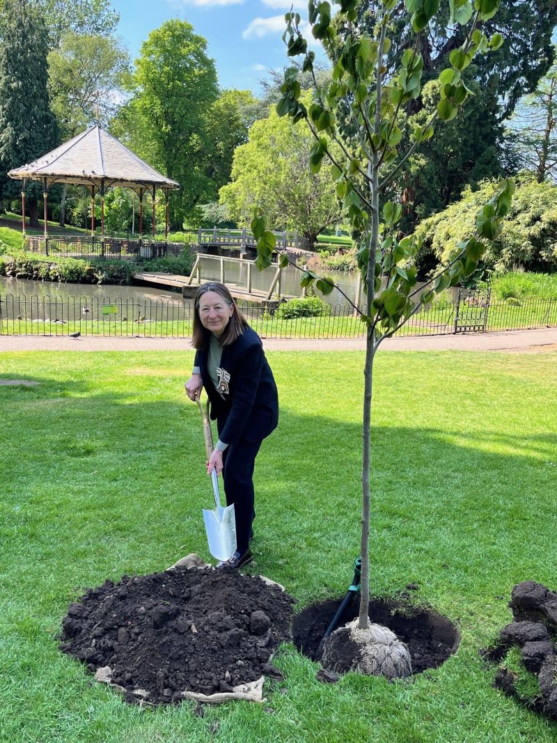The Lord-Lieutenant of Worcestershire, Mrs Beatrice Grant, planting the tree in Gheluvelt Park