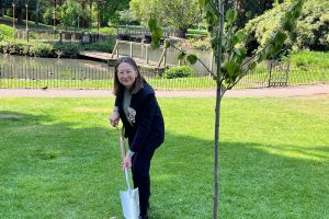 The Lord-Lieutenant of Worcestershire, Mrs Beatrice Grant, planting the tree in Gheluvelt Park