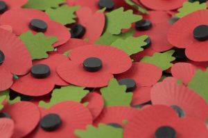 Poppies
