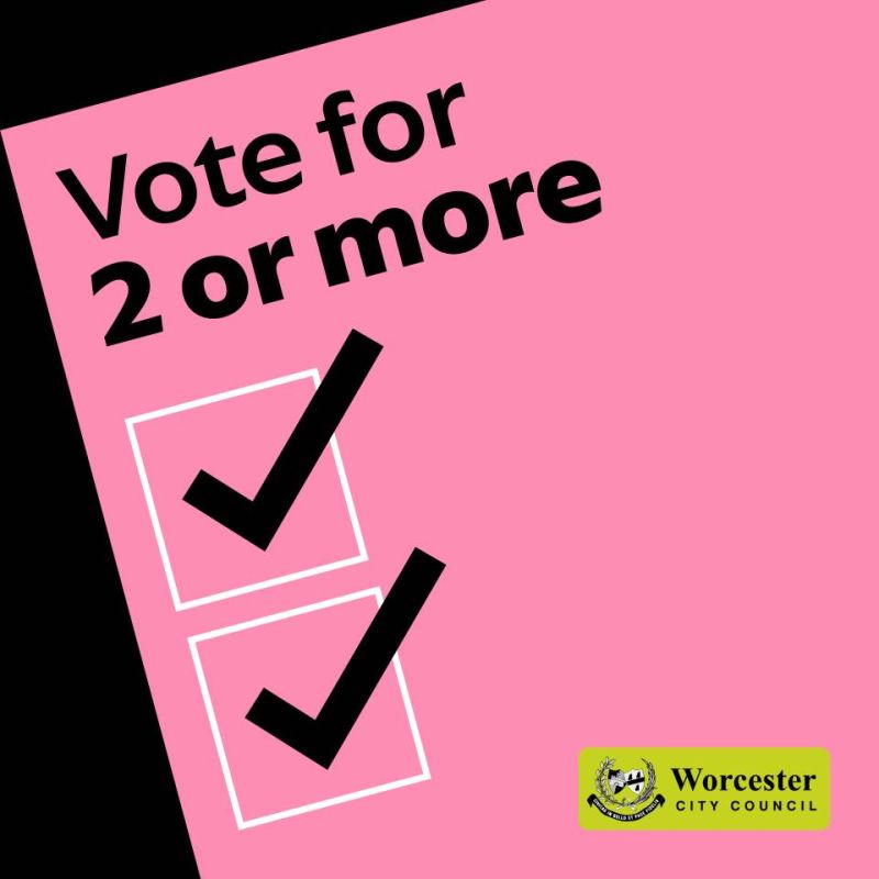A graphic showing two boxes ticked on a ballot paper, with the caption,