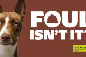 An image of a dog with the message 'four isn't it?'
