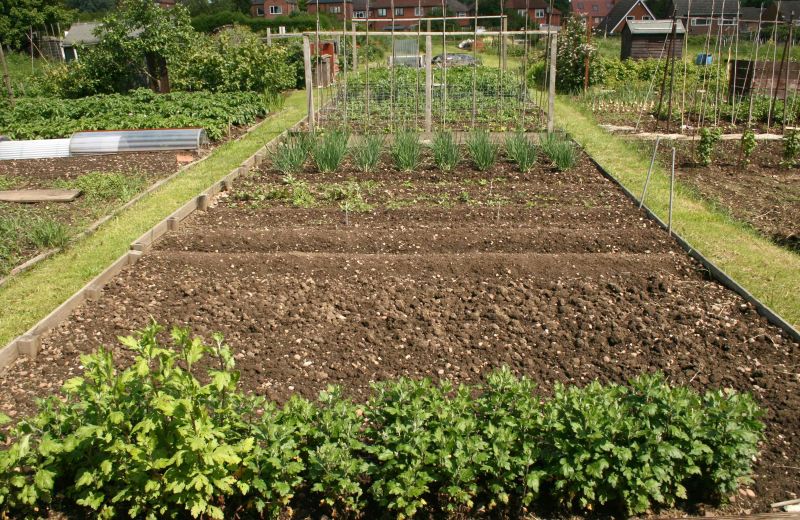 Allotments