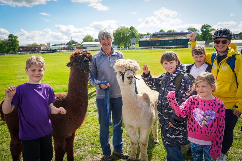 Children around two alpacas